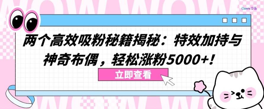 两个高效吸粉秘籍揭秘：特效加持与神奇布偶，轻松涨粉5000+【揭秘】-网创星球