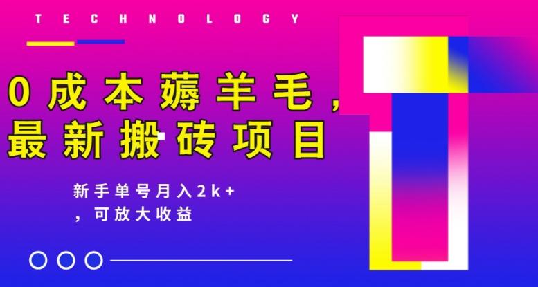 0成本薅羊毛，最新搬砖项目，新手单号月入2k+，可放大操作-网创星球