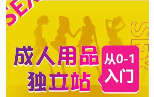 成人用品独立站从0-1入门，成品独立站运营全流程教学，七大好卖成品独立站推荐-网创星球