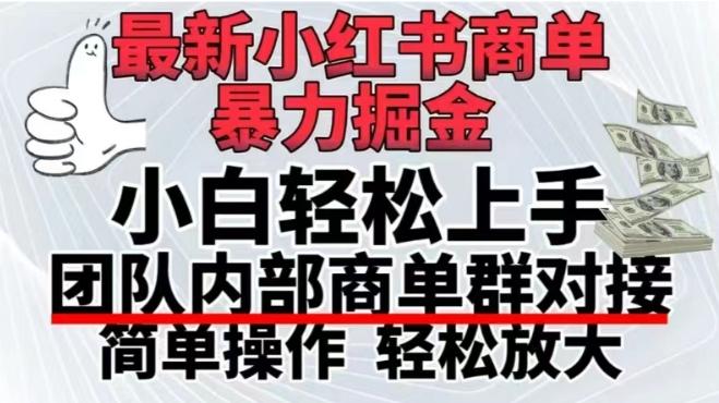 最新小红书商单，暴力掘金，单月稳定变现3W+-网创星球