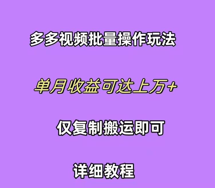 (10029期)拼多多视频带货快速过爆款选品教程 每天轻轻松松赚取三位数佣金 小白必…-网创星球