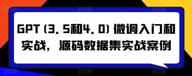 GPT(3.5和4.0)微调入门和实战，源码数据集实战案例-网创星球