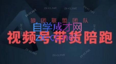 狼团联盟·2024视频号带货-网创星球
