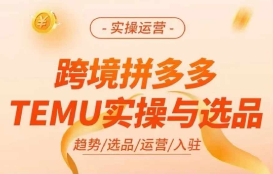 跨境拼多多TEMU实操与选品，多多temu跨境选品运营实操-网创星球