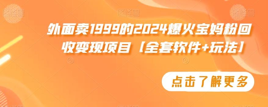 外面卖1999的2024爆火宝妈粉回收变现项目【全套软件+玩法】【揭秘】-网创星球