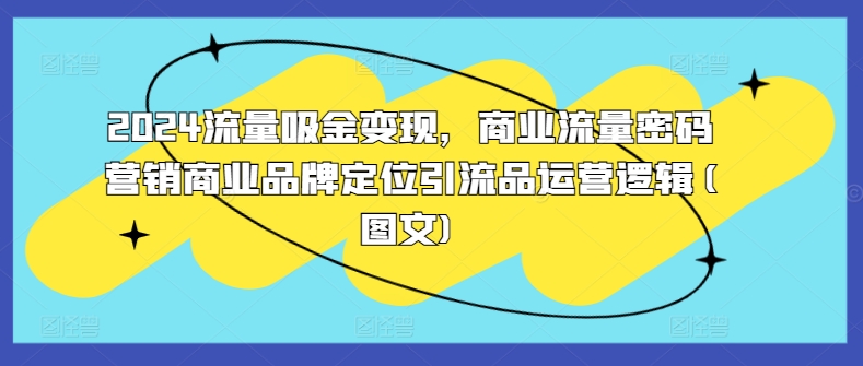 2024流量吸金变现，商业流量密码营销商业品牌定位引流品运营逻辑(图文)-网创星球