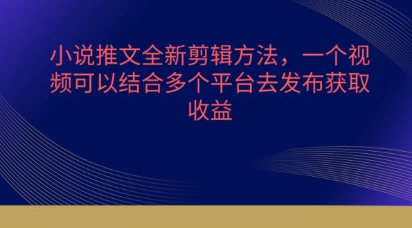 小说推文全新剪辑方法，一个视频可以结合多个平台去发布获取【揭秘】-网创星球