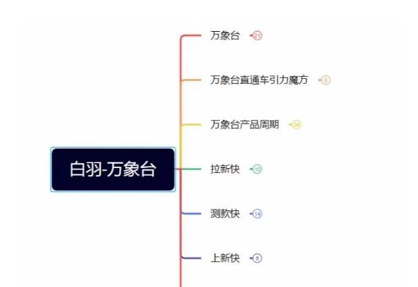 白羽·直引万搜索全篇，从0-1，多个类目实操经验总结付费-网创星球