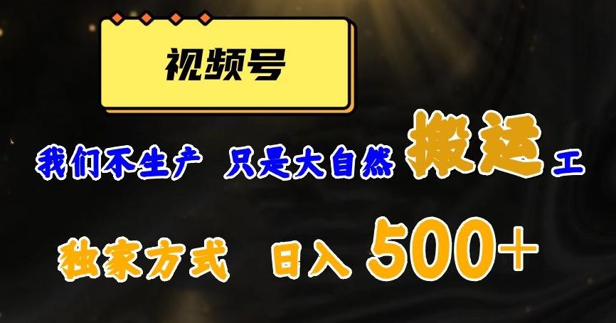 视频号轻松搬运日赚500+，一个1分钟1条原创视频【揭秘】-网创星球