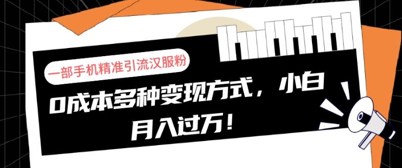一部手机精准引流汉服粉，0成本多种变现方式，小白月入过万！-网创星球