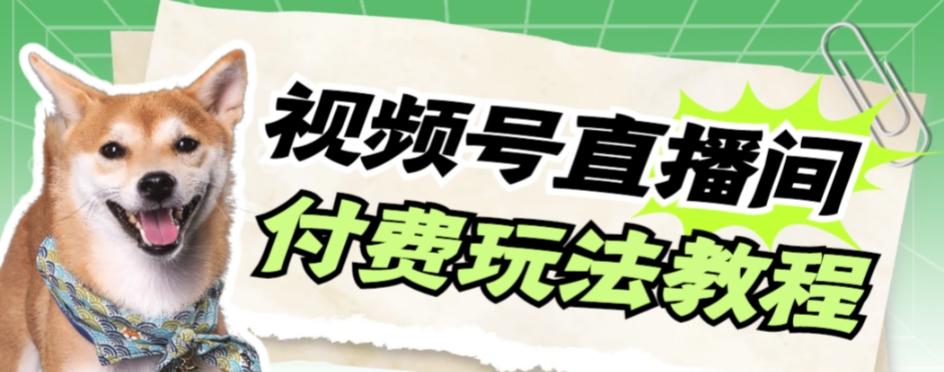 视频号美女付费无人直播，轻松日入500+【详细玩法教程】-网创星球