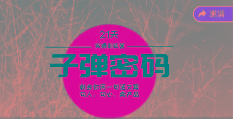 《子弹密码训练营》-用一句话文案勾人勾心卖产品，21天学到顶尖文案大师策略和技巧-网创星球