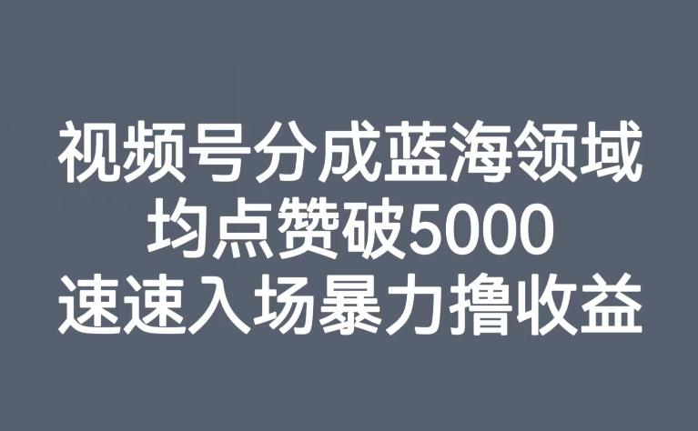 视频号分成蓝海领域，均点赞破5000，速速入场暴力撸收益-网创星球