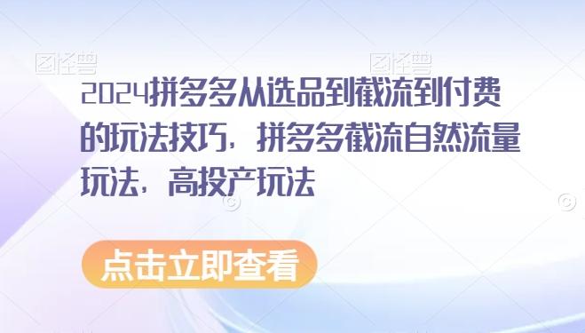 2024拼多多从选品到截流到付费的玩法技巧，拼多多截流自然流量玩法，高投产玩法-网创星球