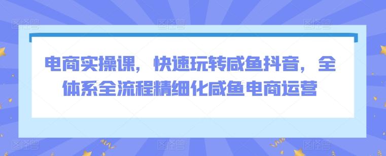 电商实操课，快速玩转咸鱼抖音，全体系全流程精细化咸鱼电商运营-网创星球