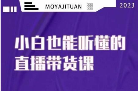 大威本威·能听懂的直播带货课，小白也能听懂，20节完整-网创星球
