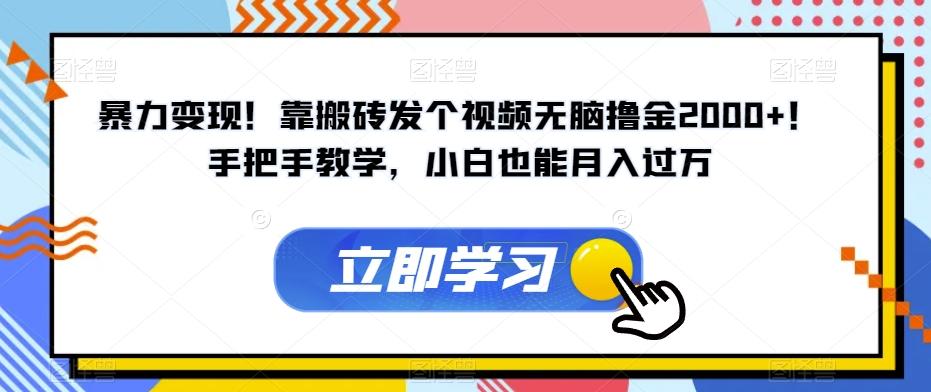 暴力变现！靠搬砖发个视频无脑撸金2000+！手把手教学，小白也能月入过万【揭秘】-网创星球
