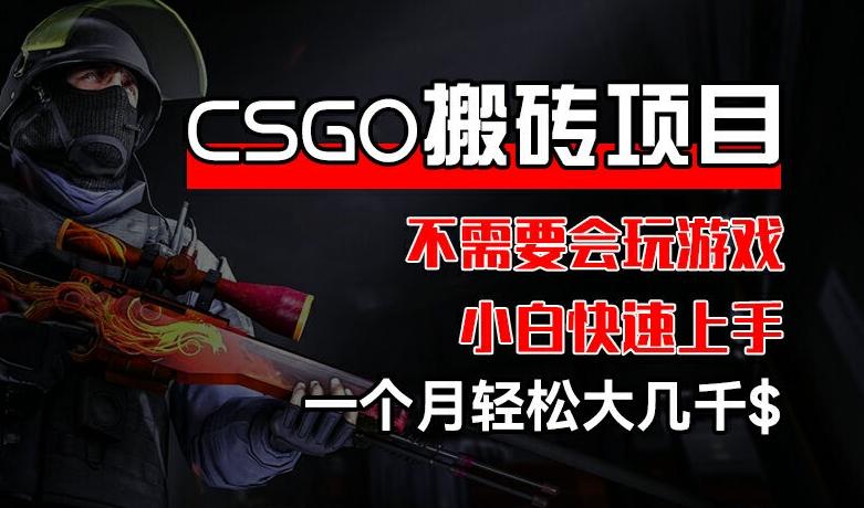 CSGO 装备搬砖项目，操作简单，不需要会玩游戏，小白也能快速上手，一个月轻松大几千【揭秘】-网创星球