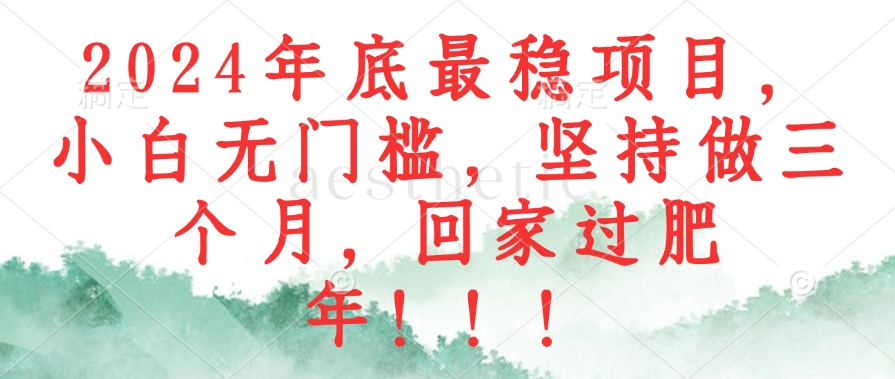 2024年底最稳项目，小白无门槛，坚持做三个月，回家过肥年！！！-网创星球