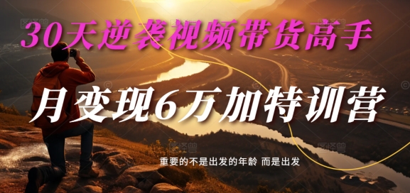 30天逆袭视频带货高手，单月变现6万加特训营-麦子甜-网创星球