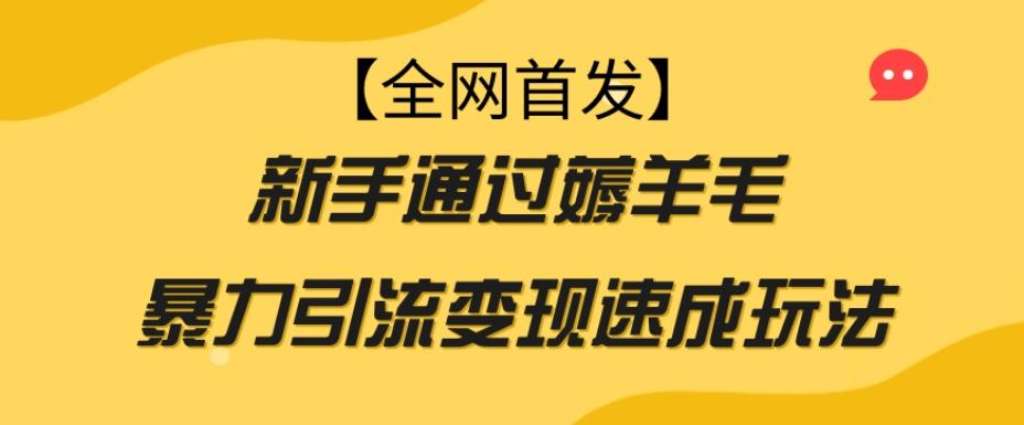 【全网首发】新手通过薅羊毛暴力引流变现速成玩法-网创星球