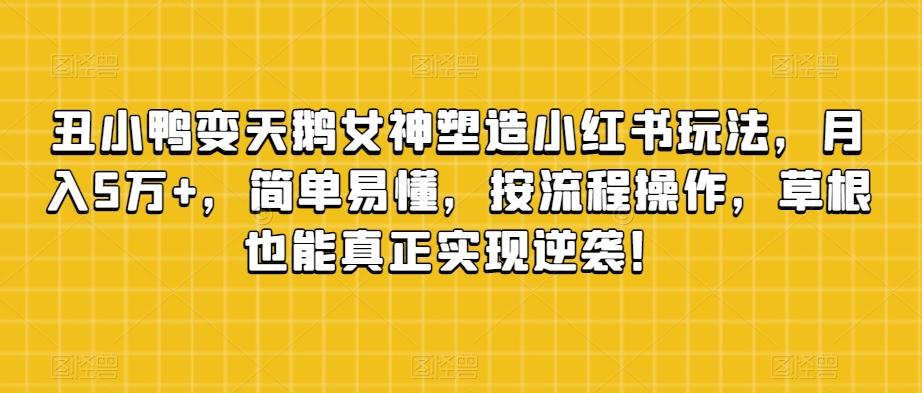 丑小鸭变天鹅女神塑造小红书玩法，月入5万+，简单易懂，按流程操作，草根也能真正实现逆袭！-网创星球