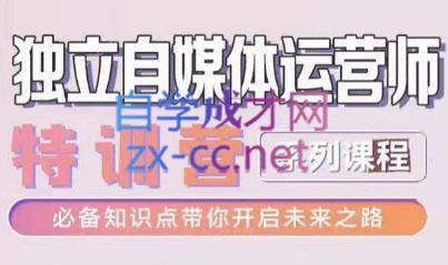 博老师·2024独立自媒体运营师特训营-网创星球