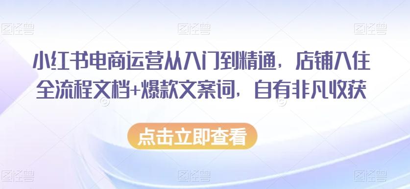 小红书电商运营从入门到精通，店铺入住全流程文档+爆款文案词，自有非凡收获-网创星球