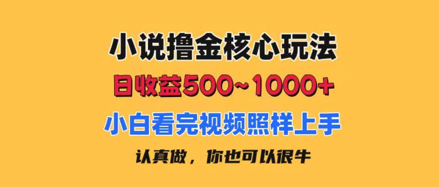 小说撸金核心玩法，日收益500-1000+，小白看完照样上手，0成本有手就行-网创星球