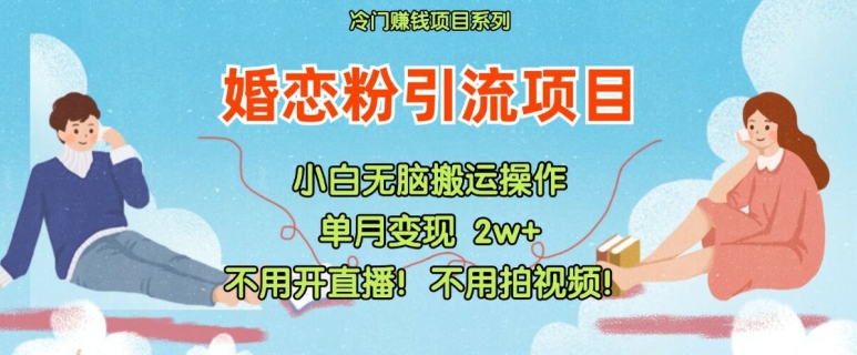 小红书婚恋粉引流，不用开直播，不用拍视频，不用做交付【揭秘】-网创星球