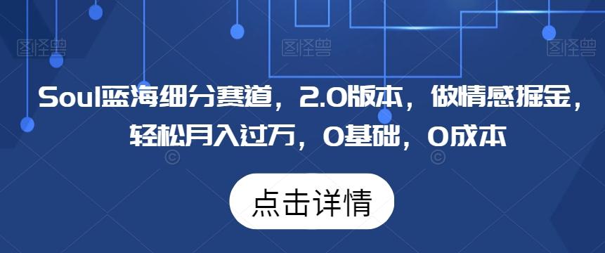 Soul蓝海细分赛道，2.0版本，做情感掘金，轻松月入过万，0基础，0成本-网创星球