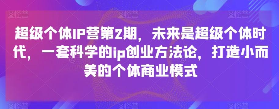 超级个体IP营第2期，未来是超级个体时代，一套科学的ip创业方法论，打造小而美的个体商业模式-网创星球