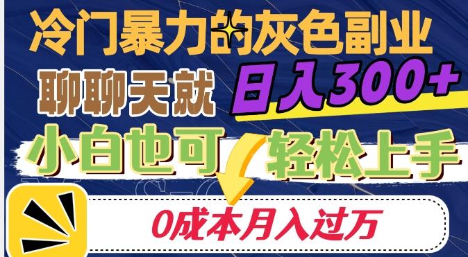 冷门暴利的副业项目，聊聊天就能日入300+，0成本月入过万【揭秘】-网创星球