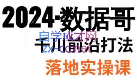 数据哥·2024年千川前沿打法落地实操课-网创星球