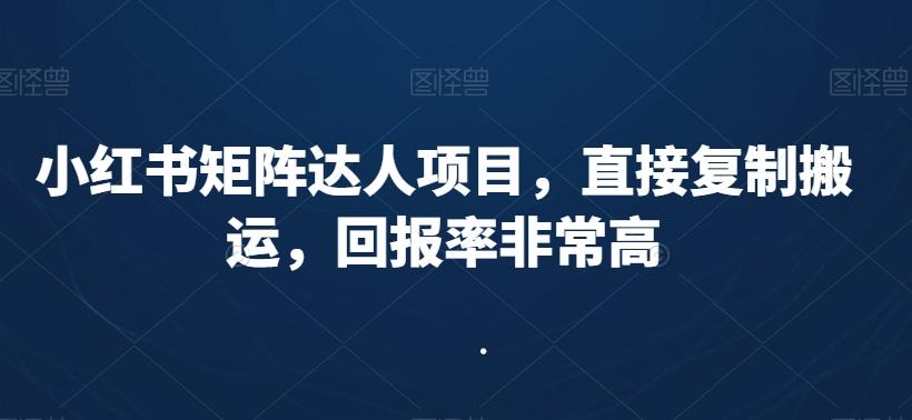 小红书矩阵达人项目，直接复制搬运，回报率非常高-网创星球