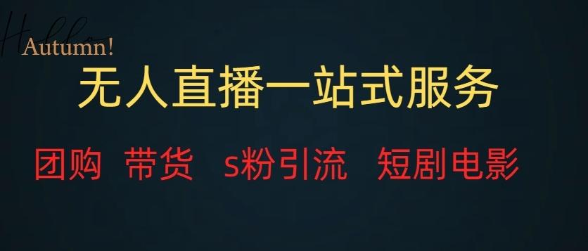 无人直播一站式服务（教程以及变现方式）-网创星球