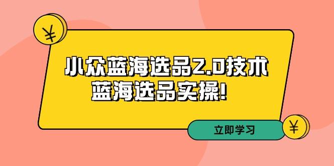 拼多多培训第33期：小众蓝海选品2.0技术-蓝海选品实操！-网创星球