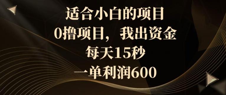 适合小白的项目，0撸项目，我出资金，每天15秒，一单利润600-网创星球