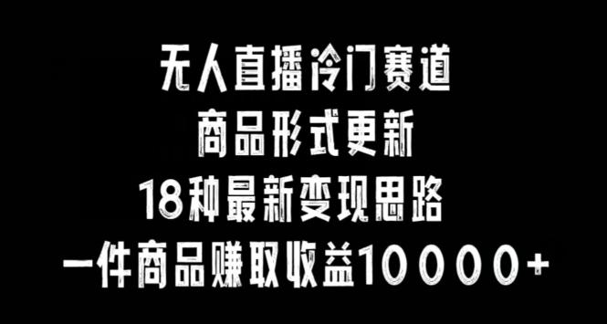 无人直播冷门赛道，商品形式更新，18种变现思路，一件商品赚取收益10000+【揭秘】-网创星球