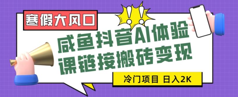 寒假大风口咸鱼抖音AI体验课链接搬砖变现，全网首发冷门项目，小白可日入2K+【揭秘】-网创星球