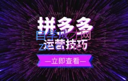 力辛电商·拼多多强付费店群玩法-网创星球