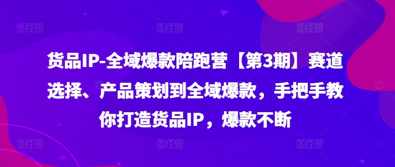 货品IP全域爆款陪跑营【第3期】赛道选择、产品策划到全域爆款，手把手教你打造货品IP，爆款不断-网创星球