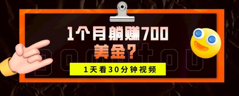 1天看30分钟视频，1个月躺赚700美金？-网创星球