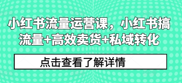 小红书流量运营课，小红书搞流量+高效卖货+私域转化-网创星球