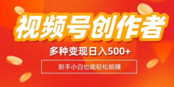 视频号创作者计划，多种变现方式，日入500+【内附1080g视频素材】-网创星球