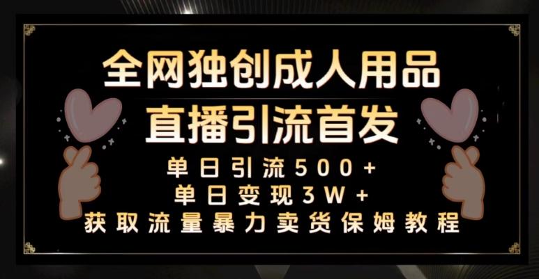 全网独创真人主播+无人直播单日引流500+，橙人用品暴力卖货单日变现3W+保姆似教学2.0【揭秘】-网创星球