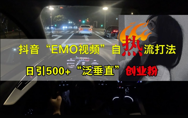 抖音EMO视频自热打法，日引500+“泛垂直”创业粉-网创星球