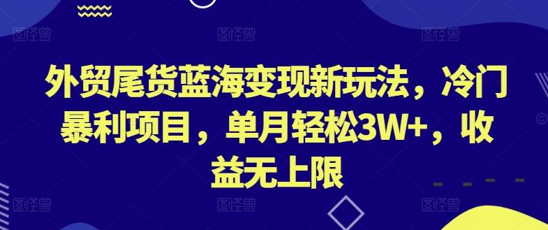 外贸尾货蓝海变现新玩法，冷门暴利项目，单月轻松3W+，收益无上限【揭秘】-网创星球