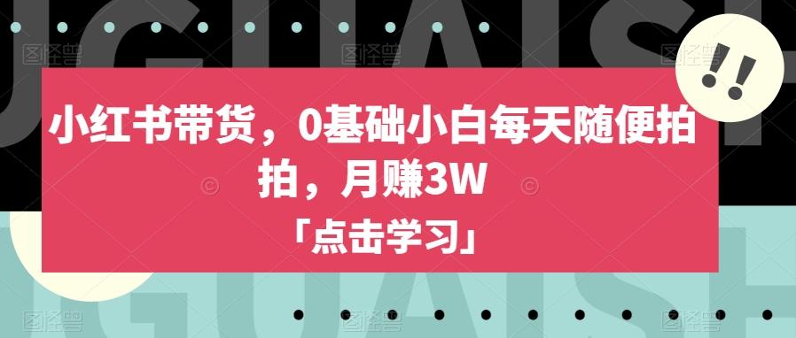 小红书带货，0基础小白每天随便拍拍，月赚3W【揭秘】-网创星球