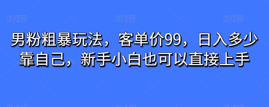 男粉粗暴玩法，客单价99，日入多少靠自己，新手小白也可以直接上手-网创星球